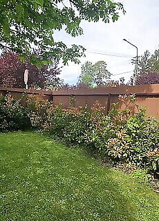 Balatonlelle Apartman
