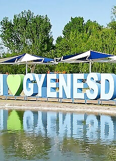 Gyenesdias